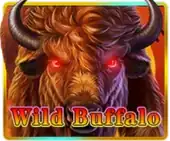 Wild Buffalo